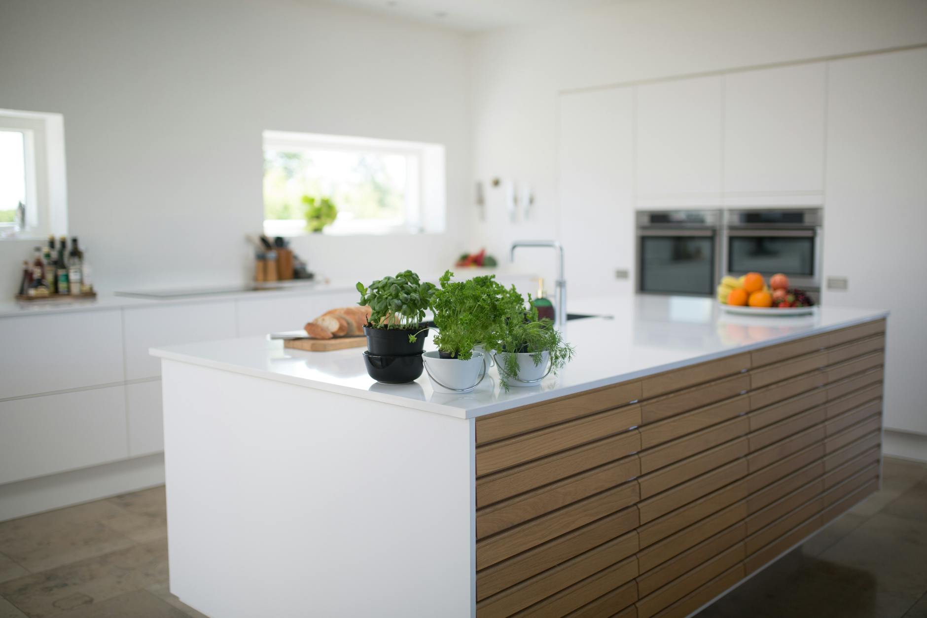 Spacious, light-filled kitchen with modern design and fresh herbs on the counter.